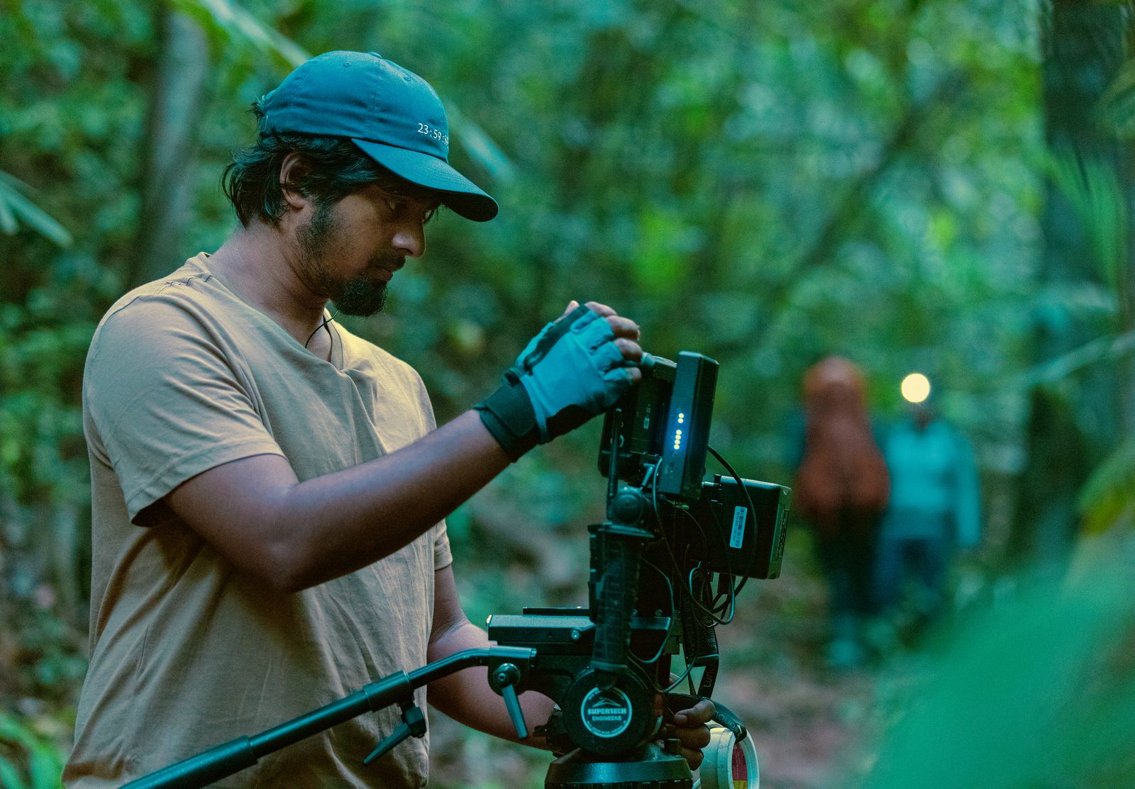 Rainforest Direction