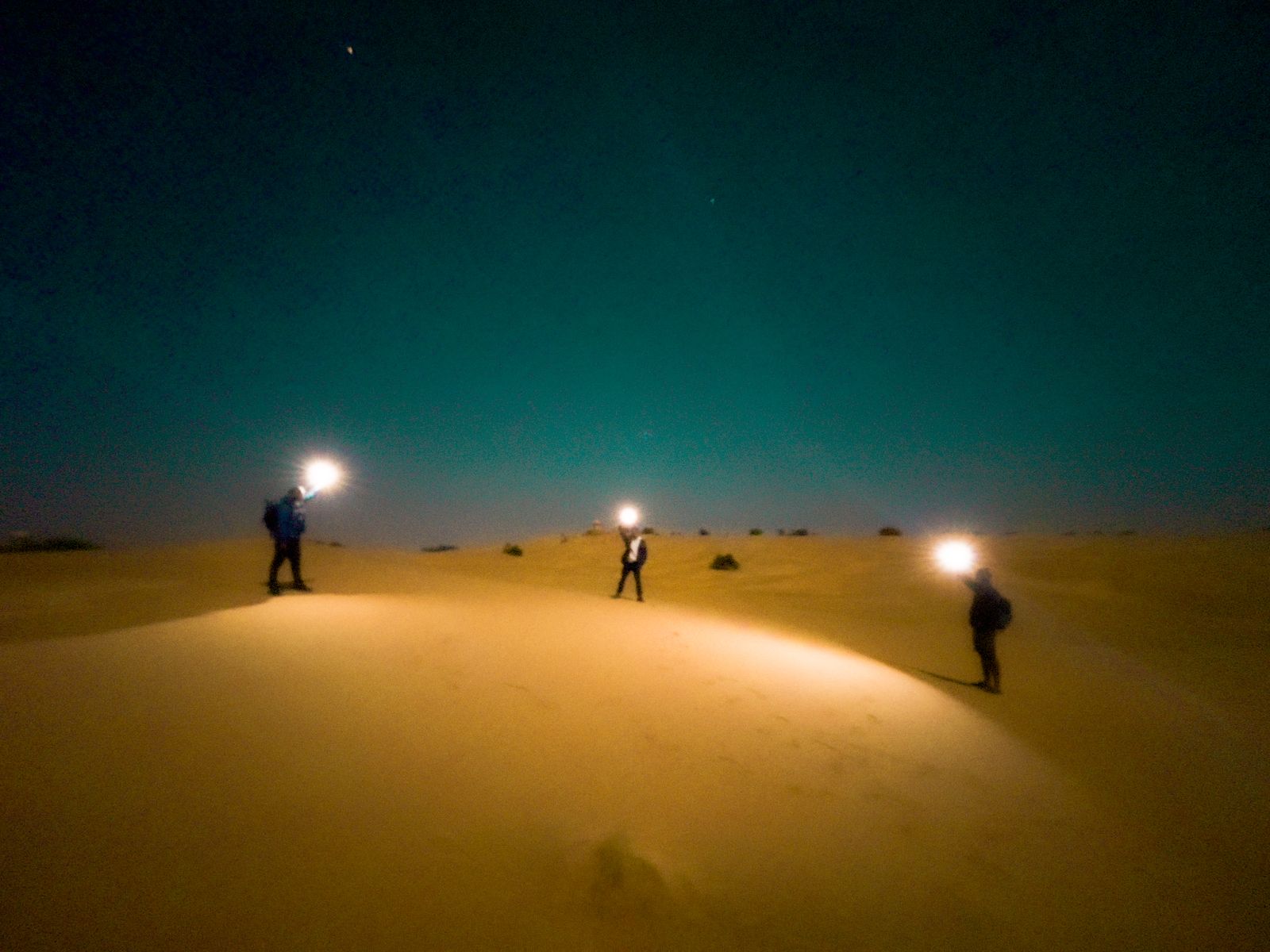 Desert Night — Thar